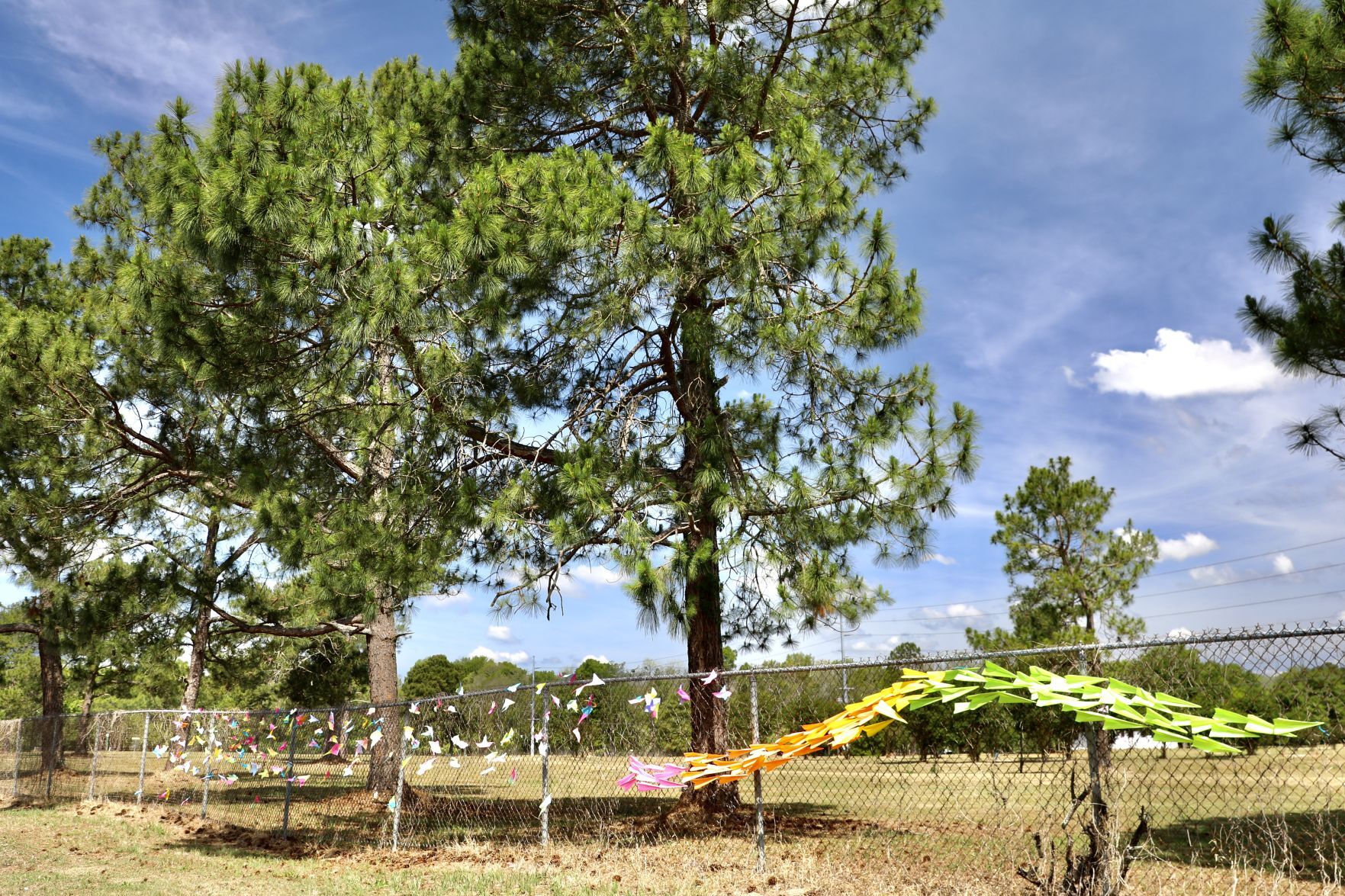 Outdoor Art Exhibit